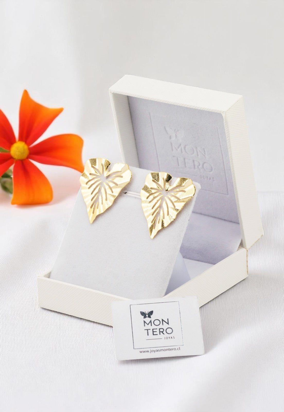 Aros Olivia Baño de Oro de 24 k