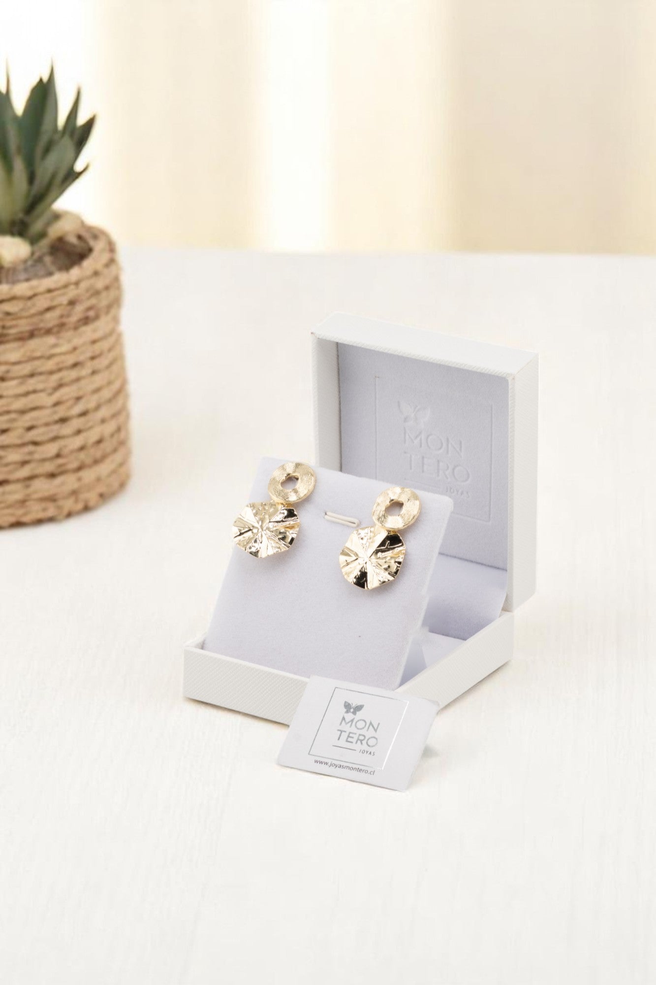 Aros Lilly Gold Baño de Oro 24k