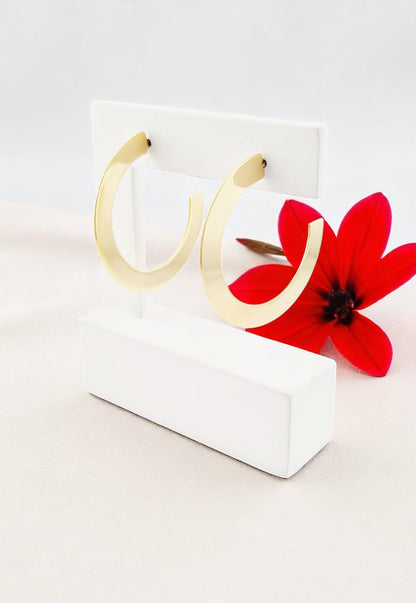 Aros Pamplona Baño Oro 24K