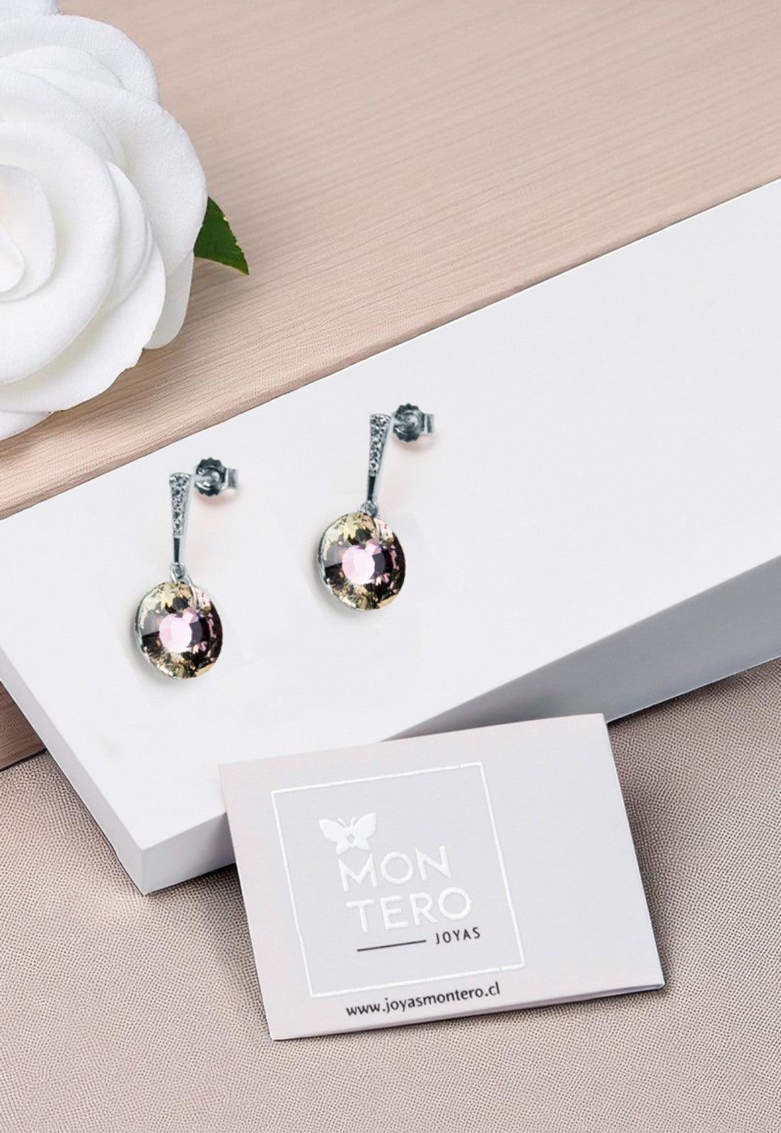 Aros Paris Plata 925 Cristal Genuino Vitral Light